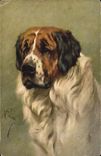 CPA Chien Chiens 