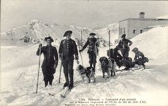 Vintage Postcard Chien Dogs Briançon Transport of a patient on the sledge improvises school of ski of the 159eme of infantetie Militaria