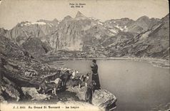 Vintage Postcard Dog Dogs With Large St Bernard the lesson