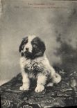 Vintage Postcard Young person Dog of the Pyrenees Visco Dogs