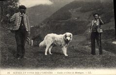 Vintage Postcard Dog Dogs Guides and dog of Pyrenees mountain