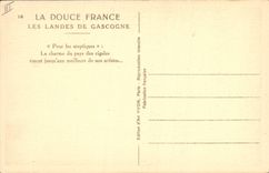 CPA Peintre Les Landes de Gascogne 