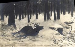 CPA Chasse Salon de 1907 Hallali sans gloire Fernand Maissen