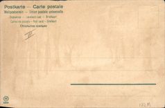 Vintage Postcard Fantasy Illustrator Mailick Wild boars