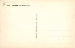 CPA Chien Chiens des Pyrenees 