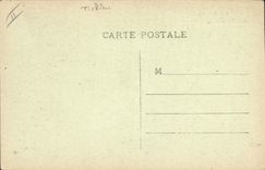 CPA Chien de Montagne Pyrenees Chiens 