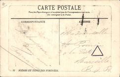 Vintage Postcard Dog of the Pyrenees