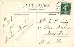 CPA Chien Chiens des Pyrenees 