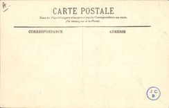 CPA Chien Chiens des Pyrenees 