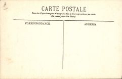 CPA Chien Chien des Pyrenees 