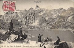 Vintage Postcard Dog Dogs With Large St Bernard after midday entertaining