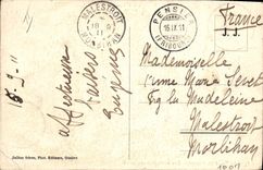 Vintage Postcard Dog Dogs With Large St Bernard after midday entertaining