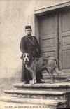 CPA Chien Chiens Les Samaritains du Grand St Bernard 