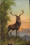 CPA Chasse Cerf
