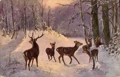 CPA Chasse Biches Biche