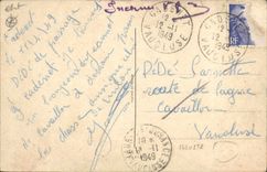 Vintage Postcard Drives out Hunter Dog Rabbit