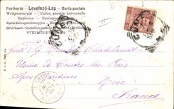 Vintage Postcard Fantasy Illustrator Child Cow