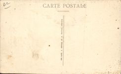 CPA Chiens Chien Les wilton Chiens acrobates equilibristes Nona Chita Souris Frisquet Negro 