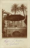 CARTE PHOTO Kiosque Hyeres Les palmiers 