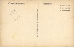 Vintage Postcard Puppies of mountain of the kennels Club of Argeles Dog