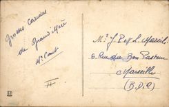 Vintage Postcard Dogs of the Pyrenees Dog the Pyrenees Viscos