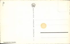 Vintage Postcard Dogs Dog Old people's home of Large St Bernard Pretre and family of young dogs