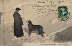 CPA Chiens Chien Grand St Bernard Avant le depart ! 