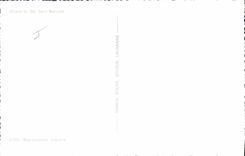 Modern Postcard Dogs of Holy Gd Bernard Chien