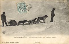 CPA Chiens Chien Lanslebourg Savoie Ravitaillement fait par les chiens du Poste de la Turra 