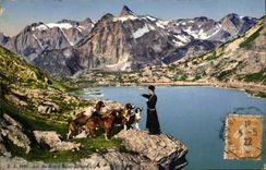 Vintage Postcard Dogs Dog Lake of the Great Saint Bernard