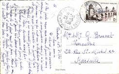 Modern Postcard Dogs Pyrenees Dog