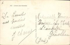CPA Chiens des Pyrenees Chien 