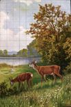 CPA Chasse Biche 
