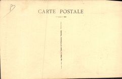 Vintage Postcard The Wilton Dog Dogs