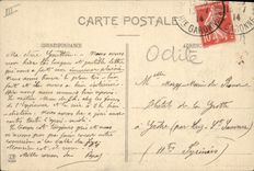 CPA Chiens Jeune Chien des Pyrenees 