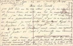 Vintage Postcard Dogs Dog