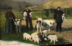 CPA Chiens de montagne Chien 