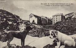 CPA Chiens Chien Grand Saint Bernard L'hospice vu du versant Suisse et chiens 