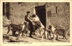 CPA Au St Bernard Les Chiens Chien 