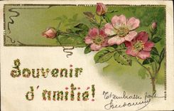 CPA Fantaisie Fleurs 