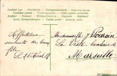 CPA Fantaisie Fleurs Colombes 