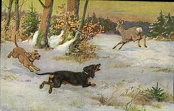 CPA Chasse Chien Chiens Biche 