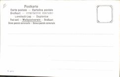 Vintage Postcard Chasse Dog Dogs Is tickled pink