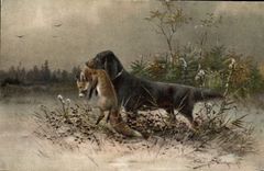 CPA Chasse Chien Renard 