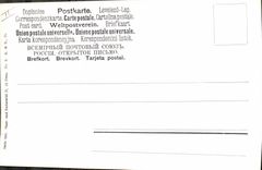 CPA Chasse Cerf Biche 