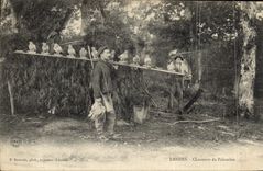 Vintage Postcard Drives out Moors Hunters of Wood pigeons SIGNAL