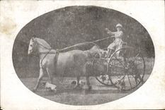 CPA Femme Cheval Attelage Chiens 