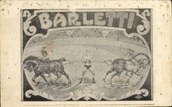 Vintage Postcard Barletti Horse