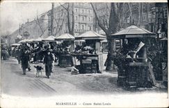 CPA Chien Chiens Marseille Cours Saint Louis Levrier 