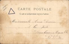 CPA Chien Chiens Levrier Sous la charmille